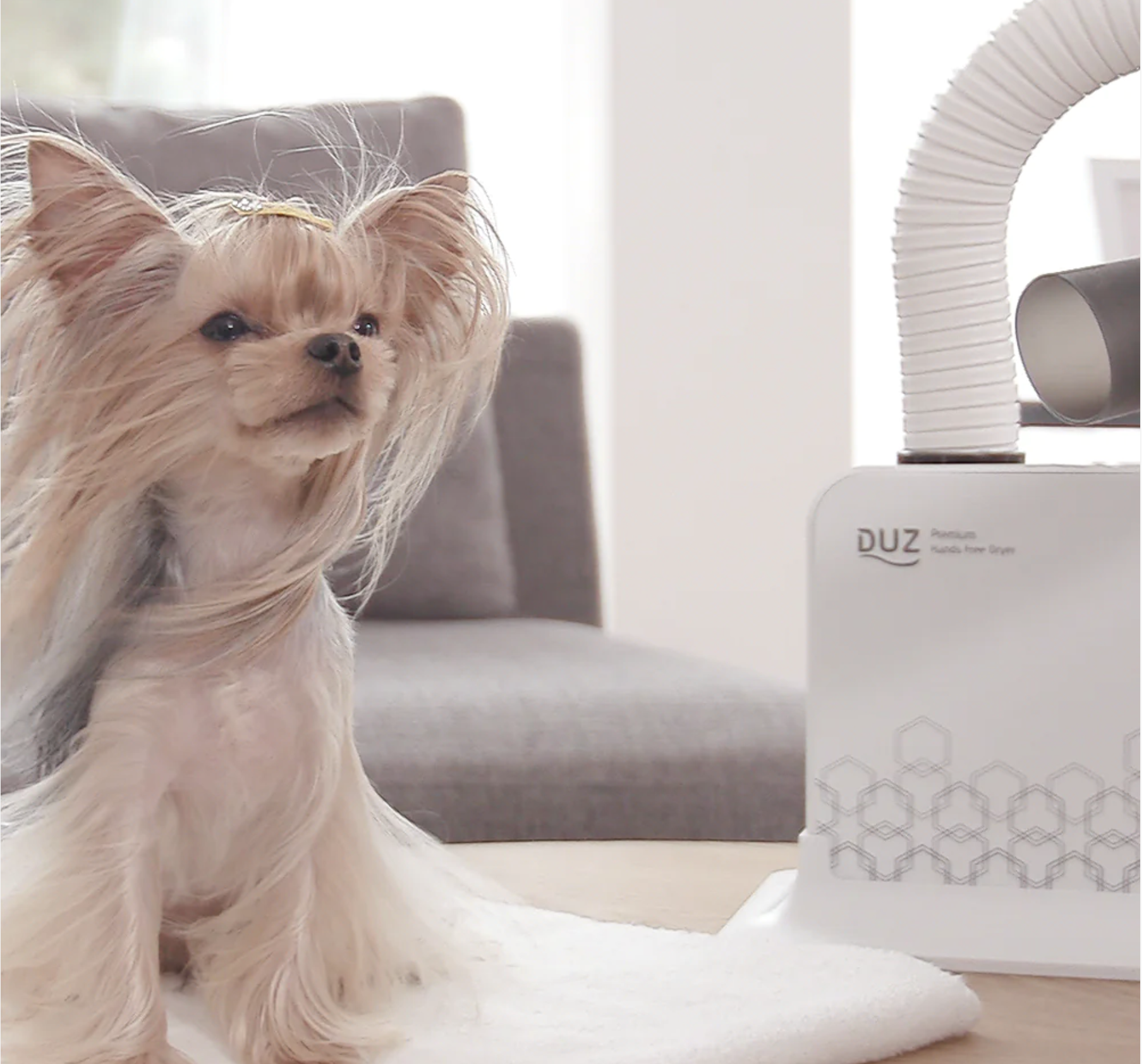 Duz V2 Hands-Free Pet Grooming Dryer – LuxePET Limited