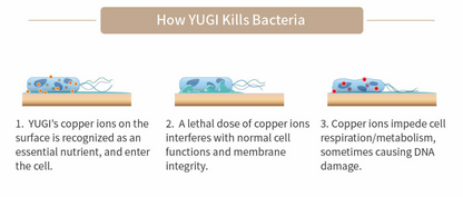 PROCYON Bronze Bowl (Small 300 ml)