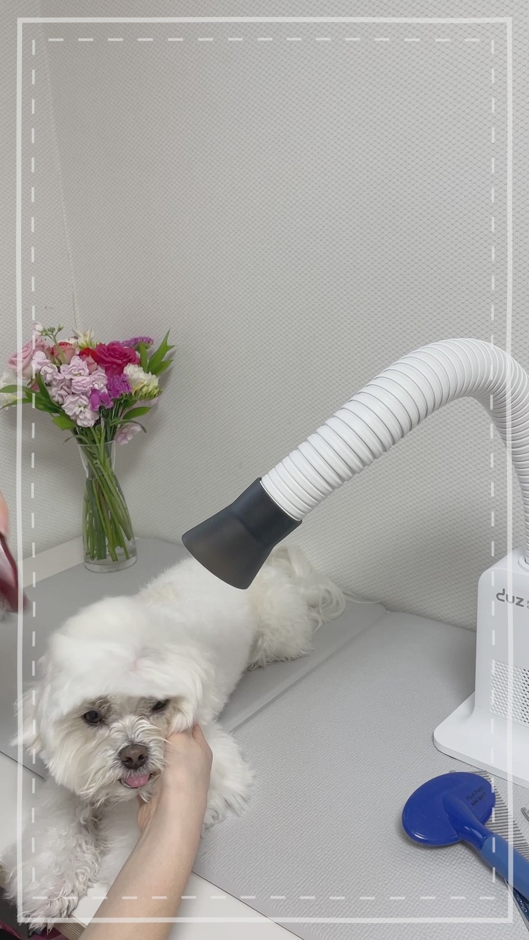 Duz V2 Pro Hands-Free Pet Grooming Dryer – LuxePET Limited